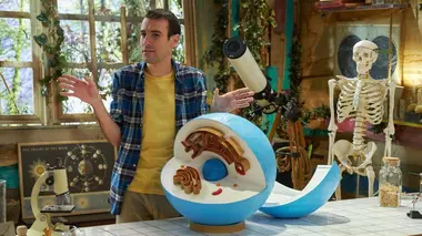 Grandir, c'est pas dela tarte