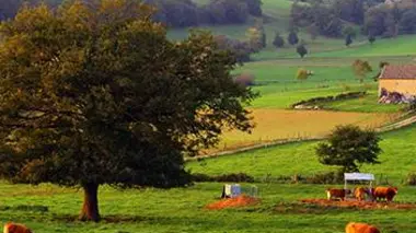 La nouvelle ère des paysans