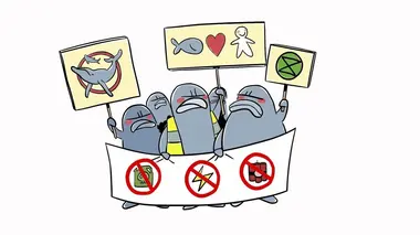La pollution cachée du poisson