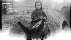 C'était la guerre d'Algérie