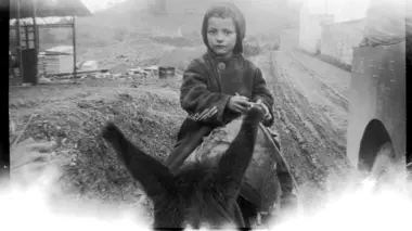 L'insurrection (1954-1955)