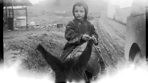 C'était la guerre d'Algérie L'insurrection (1954-1955)