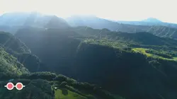 C Jamy La Réunion, merveille de l'océan Indien !