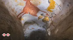 C Jamy  La grotte de Lascaux, le Louvre de la Préhistoire