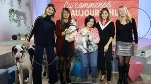 Ça commence aujourd'hui Mon chien compte plus que tout !