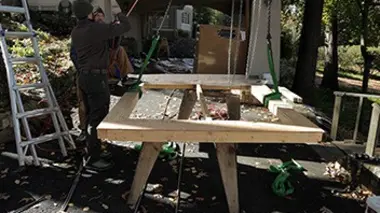 Perdu en pleine forêt