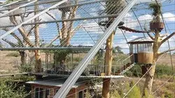 Cabanes perchées E01 Le bonheur est dans les arbres