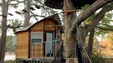 Le bonheur est dans les arbres