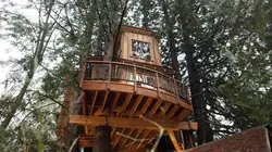 Cabanes perchées S02E12 La maison du thé perchée dans les arbres