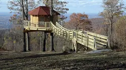 Cabanes perchées S02E03 Le bungalow de l'ours brun