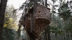 Cabanes perchées Juché dans une ruche