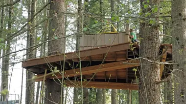 Cabane dans les arbres des Nelson