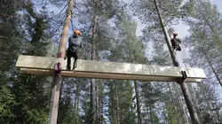 Cabanes perchées Une cabane viking en streaming