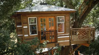 Perdu en pleine forêt