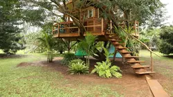 Cabanes perchées Cabane hawaïenne