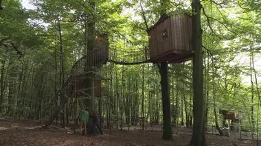 Cabanes perchées Allemagne