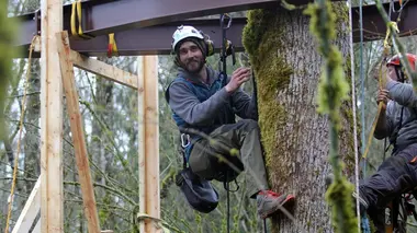 Cabanes perchées Cabane pour amateurs de sensations fortes