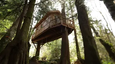 Cabanes perchées Le QG des aventuriers