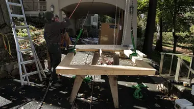 Cabanes perchées Perdu dans la forêt