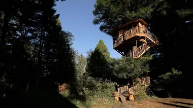 Cabanes perchées S02E05 Retraite au sommet d'un séquoia