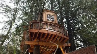 Cabanes perchées S02E12 La maison du thé perchée dans les arbres