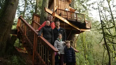 Cabanes perchées Un chalet dans les arbres