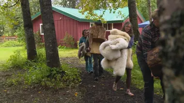 Cabanes perchées Un sauna dans les arbres
