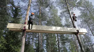 Cabanes perchées Une cabane viking