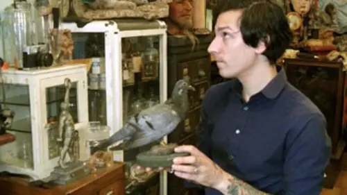 Cabinets de curiosités S01E02 Envie de crâne