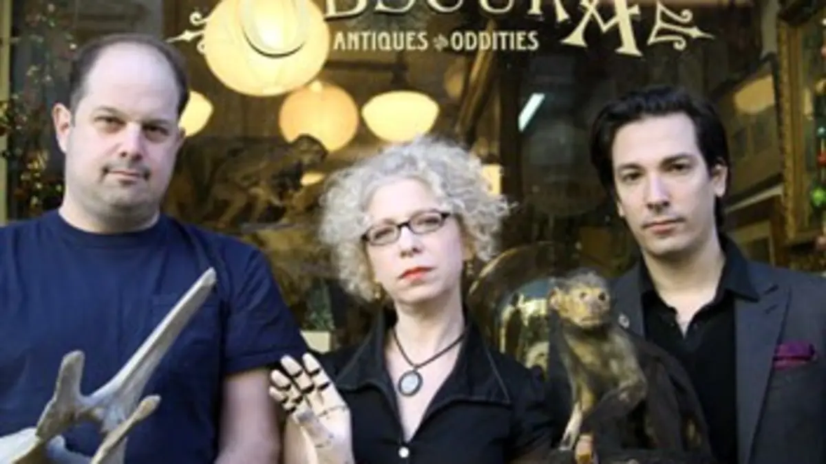 Cabinets de curiosités S04E07 Taxidermie !