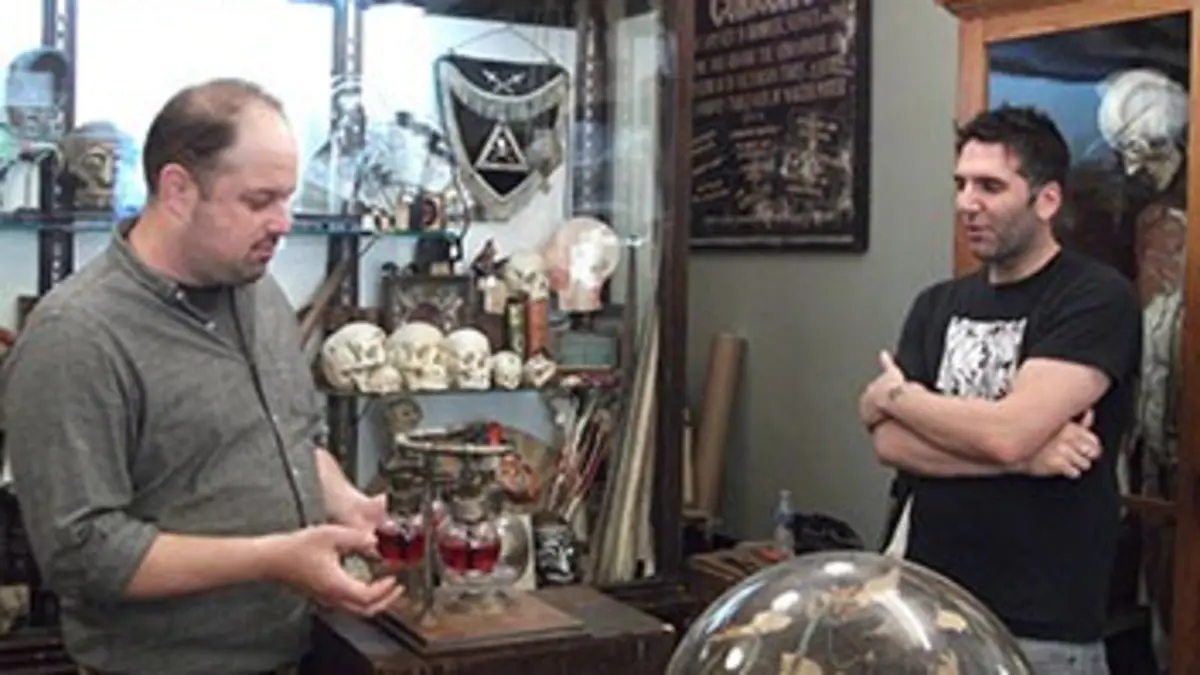 Cabinets de curiosités S04E00 La vie après la mort d'un insecte