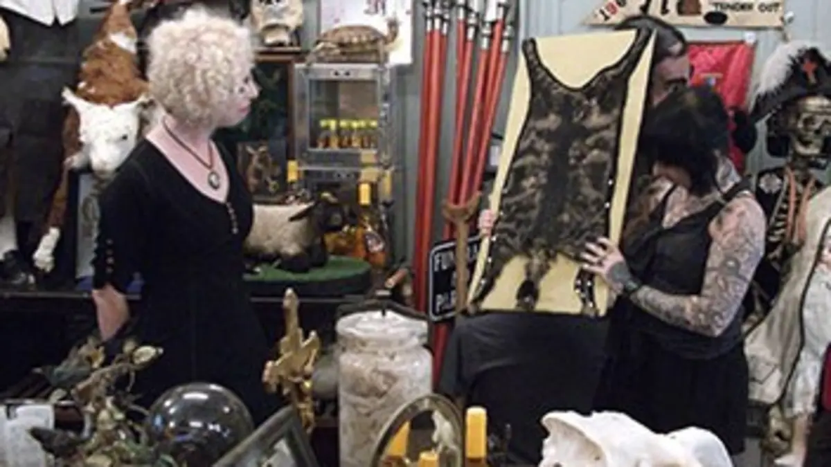 Cabinets de curiosités S04E17 Ryan et l'homme chauve-souris