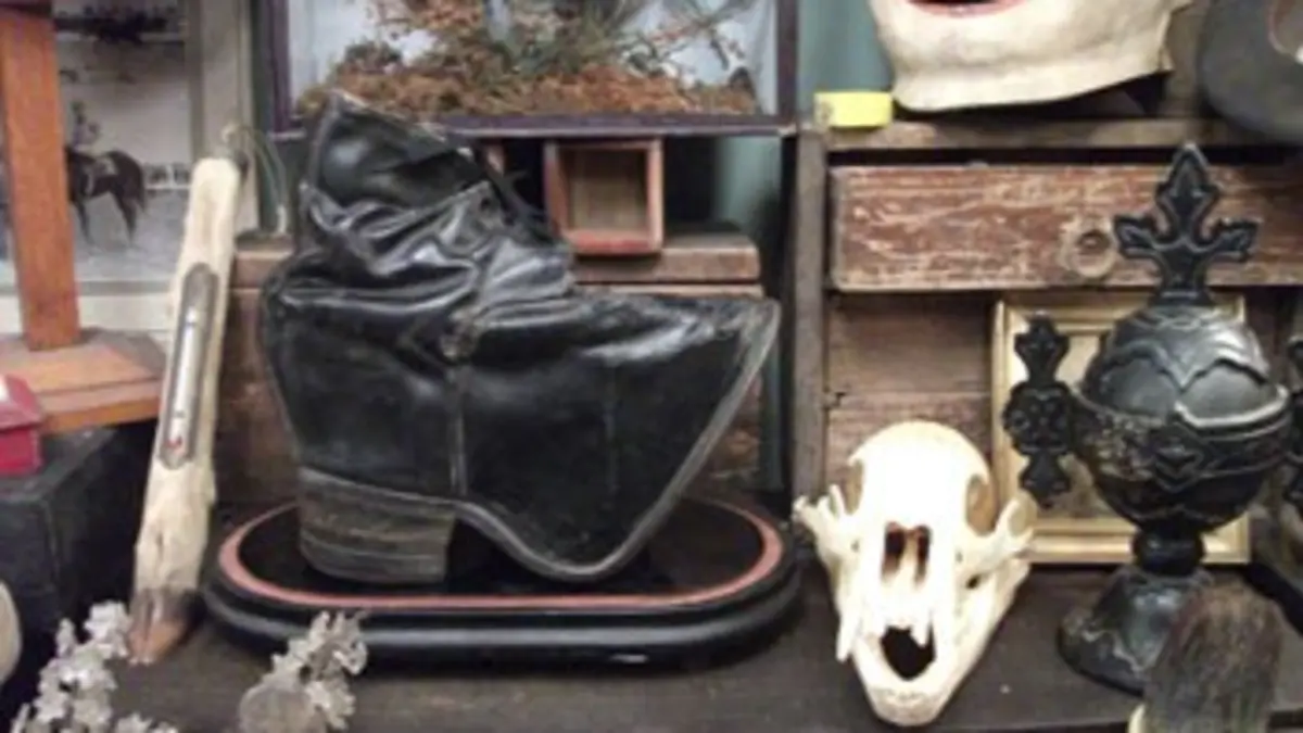 Cabinets de curiosités S02E03 Trois petits cochons