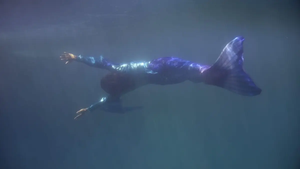 Cachez cette barbe !