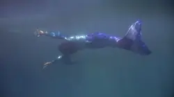 Cachez cette barbe !