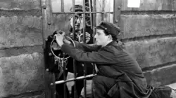 Cadet d'eau douce en streaming