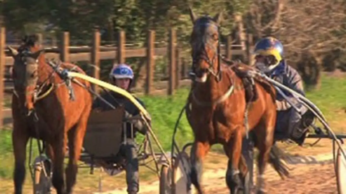 Cagnes : un monde en soi