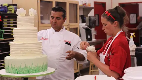Cake Boss Thunderbird et papillons