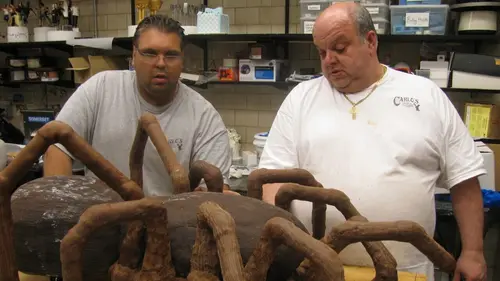 Cake Boss Insectes, ruptures et burned-out