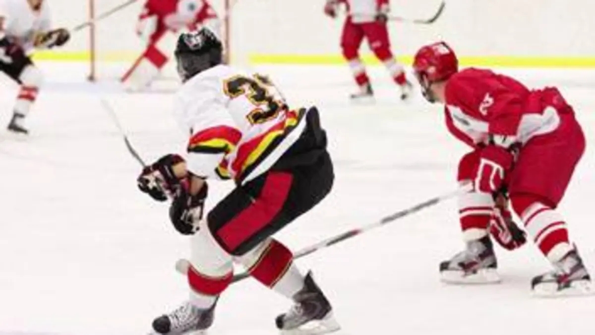 Calgary Flames / Toronto Maple Leafs Hockey sur glace NHL 2018/2019