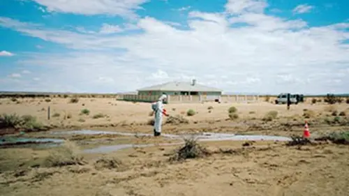 California City