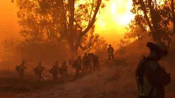 Californie : dans l'enfer des flammes