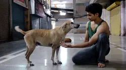 Call Me Dancer : sur les pointes de Mumbai à New-York