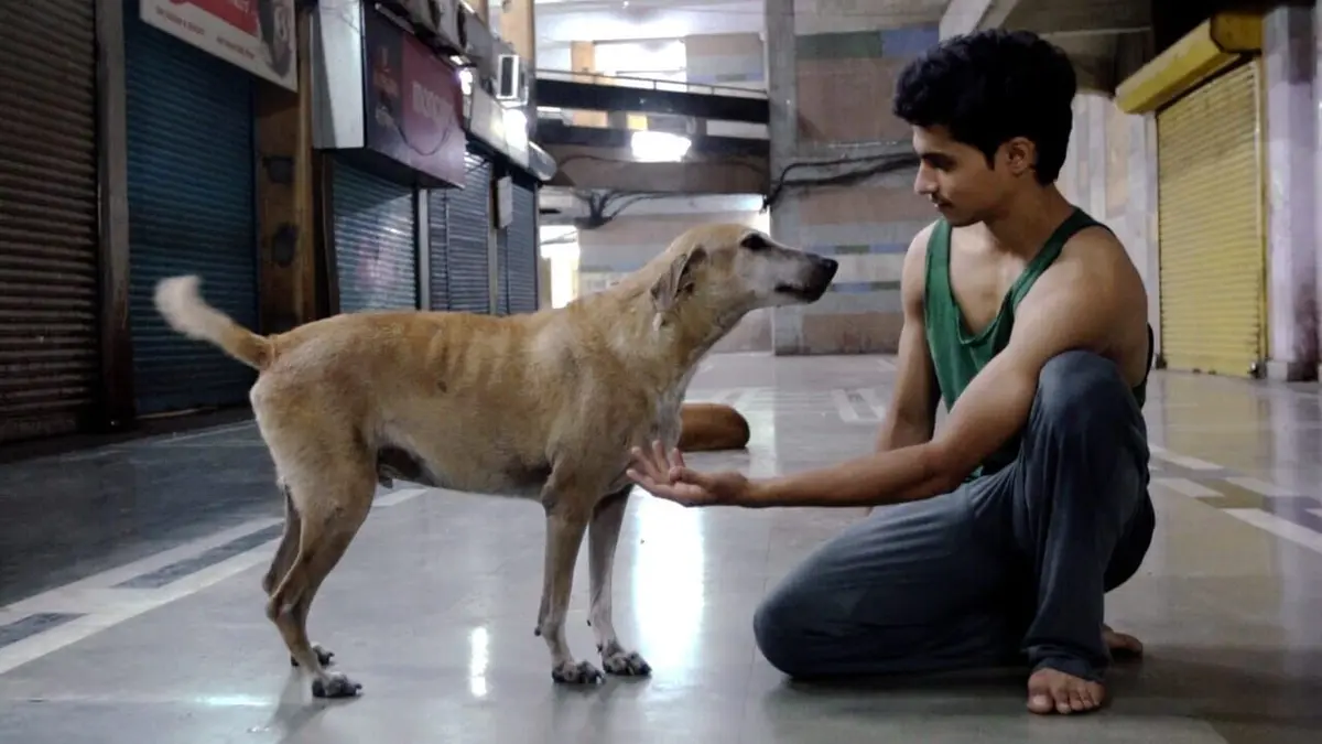 Call Me Dancer : sur les pointes de Mumbai à New-York
