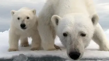 Sortir de l'hibernation