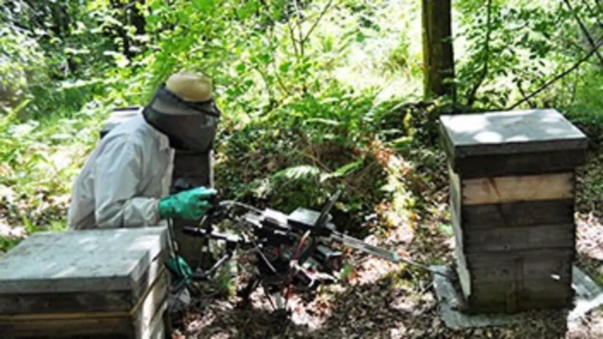 Cameraman en danger E03 Face à l'ours