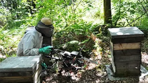 Cameraman en danger E03 Face à l'ours