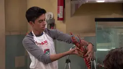 Camp Kikiwaka S03E07 Le festival du homard