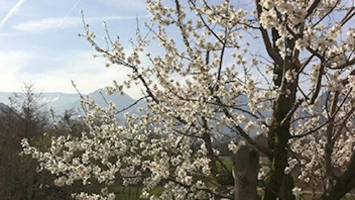 Campagnes de rêves Le Tyrol du Sud