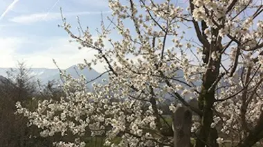 Le Tyrol du Sud